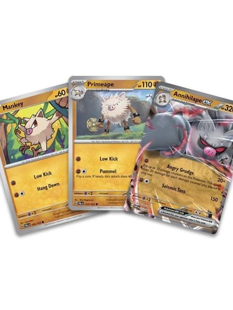 Pokémon TCG: Annihilape ex Box